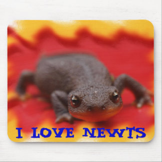 I Liebe Newts Mousepad