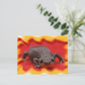 I Liebe Newts Postkarte (Stehend Vorderseite)