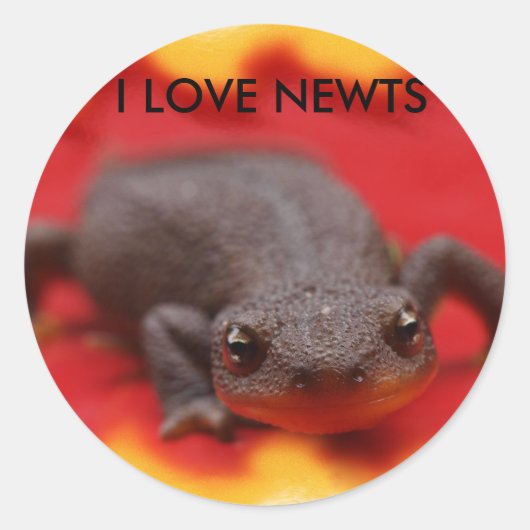 I Liebe Newts Runder Aufkleber (Vorderseite)