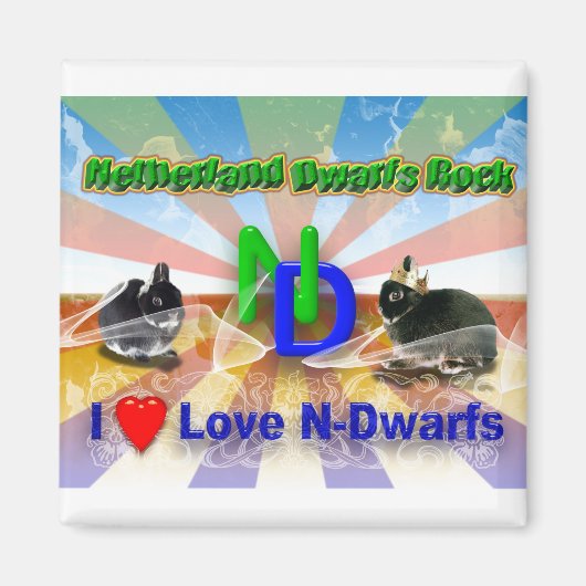 I Liebe Niederlande Zwarf Bunnies Magnet (Vorne)