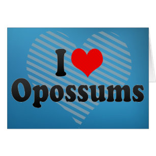 I Liebe-Opossums