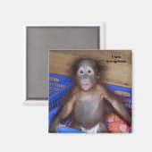 I Liebe Orang-Utans Magnet (Vorderseite/Rückseite)
