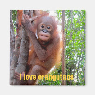 I Liebe-Orang-Utans mit Baby Uttuh Magnet