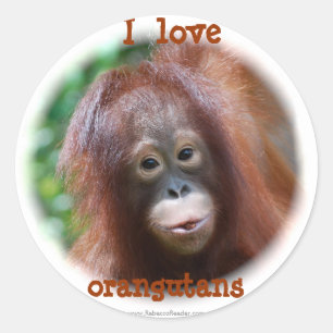 I Liebe Orang-Utans Runder Aufkleber