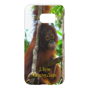 I Liebe Orangutans