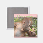 I Liebe Orangutans Magnet (Vorderseite/Rückseite)