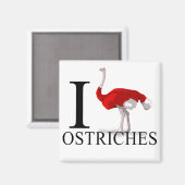 I Liebe Ostriches Magnete Magnet (Vorderseite/Rückseite)