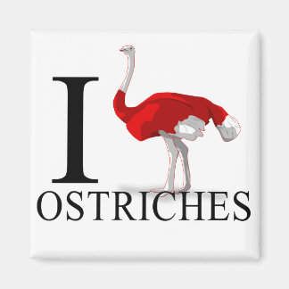 I Liebe Ostriches Magnete Magnet