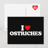 I LIEBE OSTRICHES POSTKARTE (Vorne/Hinten)