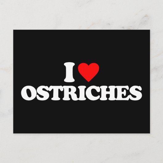 I LIEBE OSTRICHES POSTKARTE (Vorderseite)