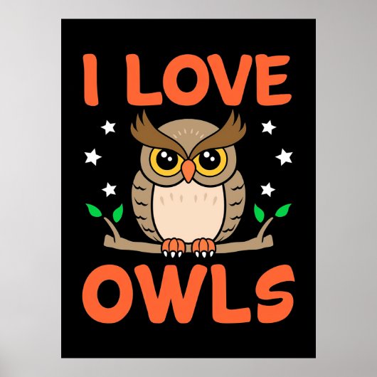 I Liebe Owls Poster (Vorne)