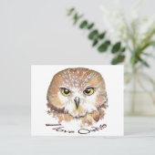 I Liebe Owls, Sau Whet Bird Postkarte (Stehend Vorderseite)