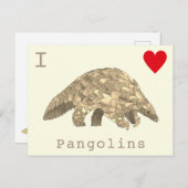I Liebe Pangolins Seltene Tierwelt Slogan Postkarte (Vorne/Hinten)