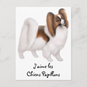 I Liebe Papillon Dogs in französischer Postkarte