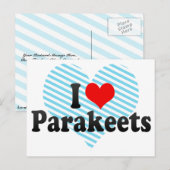 I Liebe Parakets Postkarte (Vorne/Hinten)