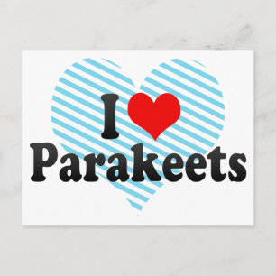 I Liebe Parakets Postkarte