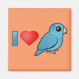 I Liebe pazifisches Parrotlets (blau) Magnet