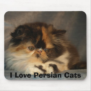 I Liebe-persische Katzen Mousepad