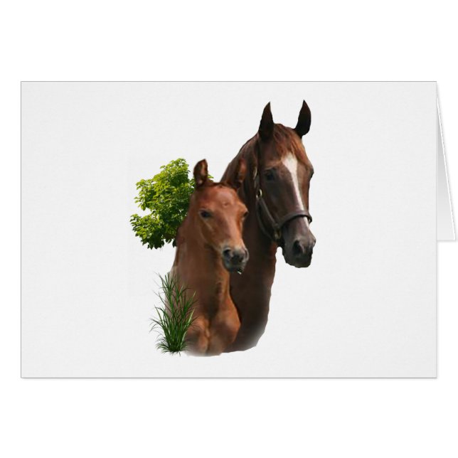 I Liebe Pferde (Vorderseite (Horizontal))