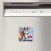 I Liebe Pferde 🐎 Magnet (In Situ (Geschirrspüler))