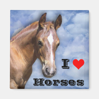 I Liebe Pferde 🐎 Magnet
