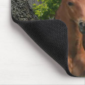 I Liebe Pferde Mousepad (Ecke)