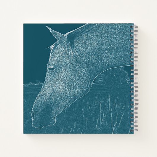 I Liebe Pferde Reitfreund Weiß auf Aquamarin Notizblock (Rückseite)