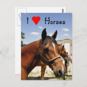 I Liebe Pferde Western Postkarte (Vorne/Hinten)