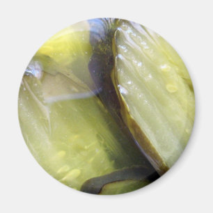 I Liebe Pickles Magnet