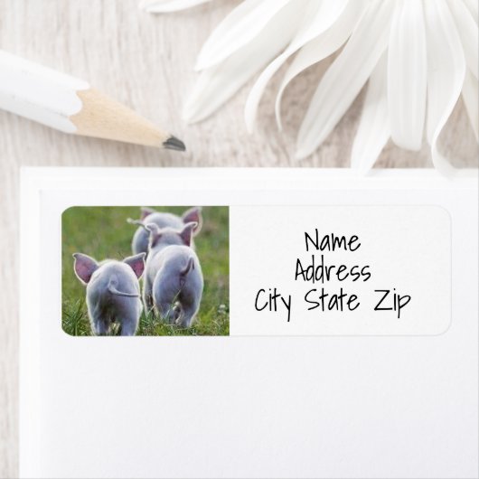 ****I LIEBE-PIGGIEN**** (Insitu)