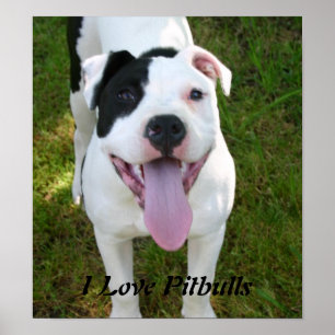 I Liebe Pitbulls Plakat