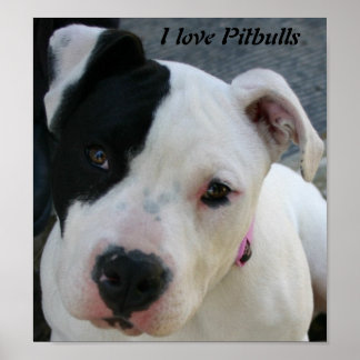 I Liebe Pitbuls Poster