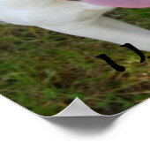 I Liebe Pitbuls Poster (Ecke)