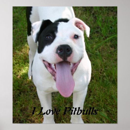 I Liebe Pitbuls Poster (Vorne)