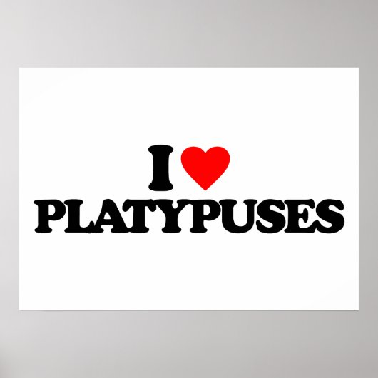 I LIEBE PLATYPUSTE POSTER (Vorne)