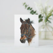 I Liebe Ponies Postkarte (Stehend Vorderseite)