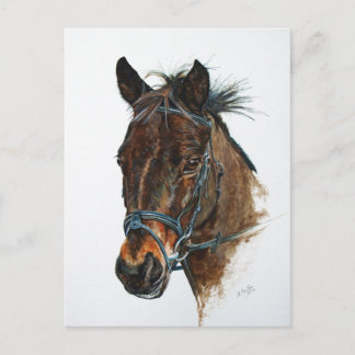 I Liebe Ponies Postkarte