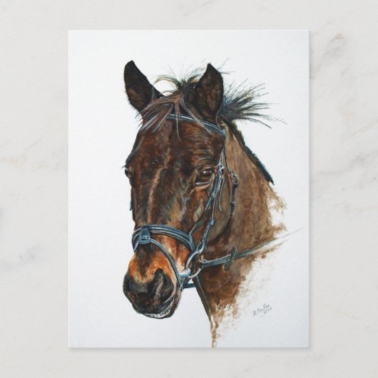 I Liebe Ponies Postkarte (Vorderseite)