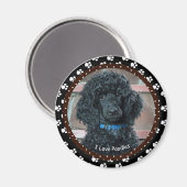 I Liebe Poodles Magnet (Vorderseite/Rückseite)