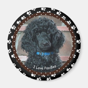 I Liebe Poodles Magnet
