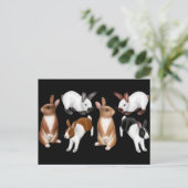 I Liebe Rabbits Postcard Postkarte (Stehend Vorderseite)