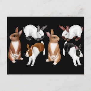 I Liebe Rabbits Postcard Postkarte