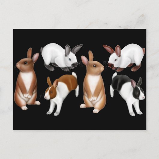 I Liebe Rabbits Postcard Postkarte (Vorderseite)