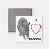 I Liebe Rats Magnet (Vorderseite/Rückseite)