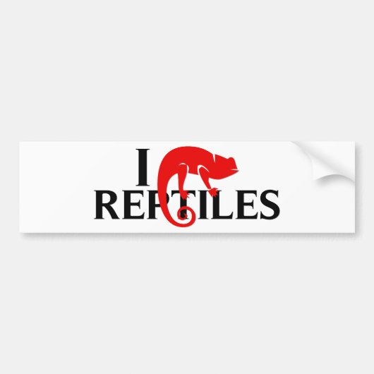 I Liebe-Reptilien Autoaufkleber (Vorne)