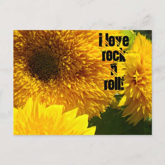 I Liebe Rock'n'Roll Postkarten Sonnenblume hell (Vorderseite)