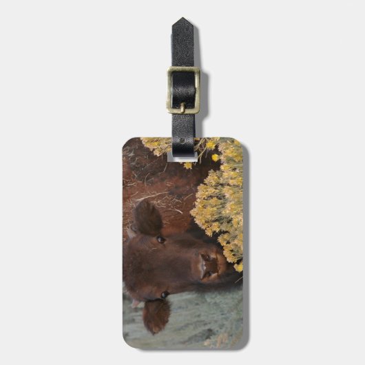 I Liebe-Salbei Gepäckanhänger (Vorderseite vertikal)