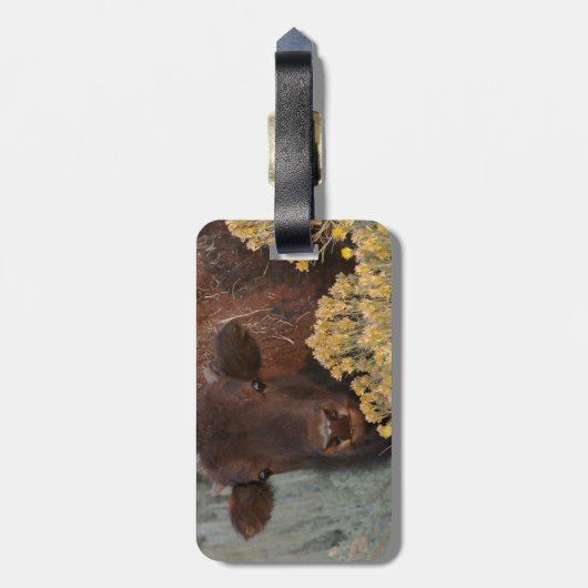 I Liebe-Salbei Gepäckanhänger (Rückseite vertikal)