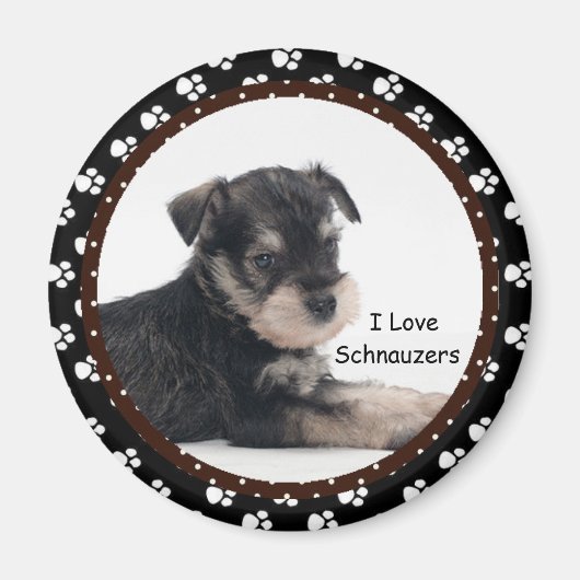 I Liebe Schnauzers Magnet (Vorne)