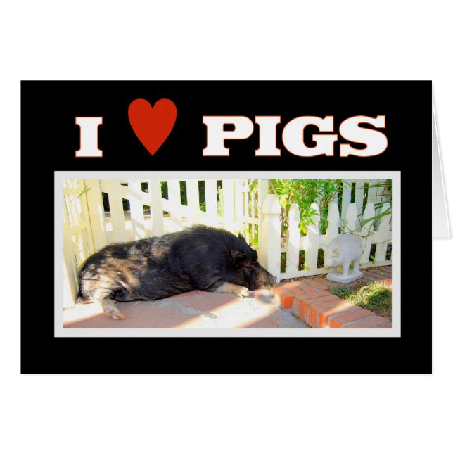 I Liebe Schweine (Vorderseite (Horizontal))